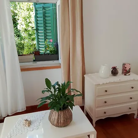 Apartment Azur Bacvice *