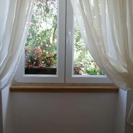 Apartman Azur Bacvice *